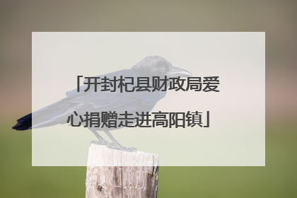 开封杞县财政局爱心捐赠走进高阳镇