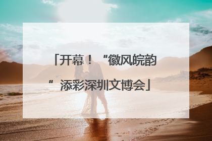 开幕！“徽风皖韵”添彩深圳文博会