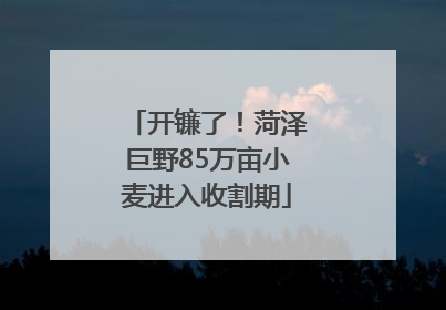 开镰了！菏泽巨野85万亩小麦进入收割期