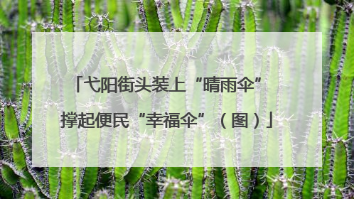 弋阳街头装上“晴雨伞” 撑起便民“幸福伞”（图）