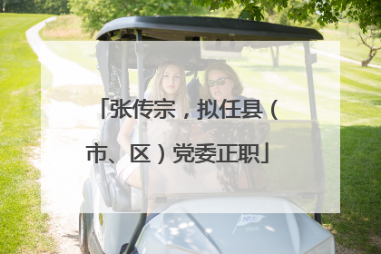 张传宗，拟任县（市、区）党委正职