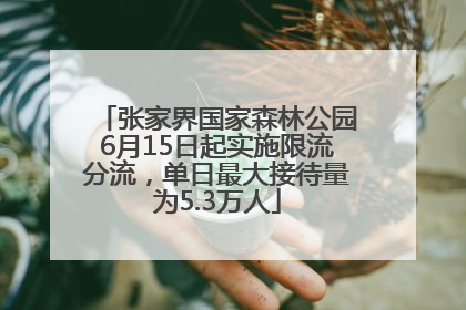 张家界国家森林公园6月15日起实施限流分流，单日最大接待量为5.3万人