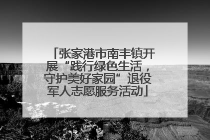 张家港市南丰镇开展“践行绿色生活，守护美好家园”退役军人志愿服务活动