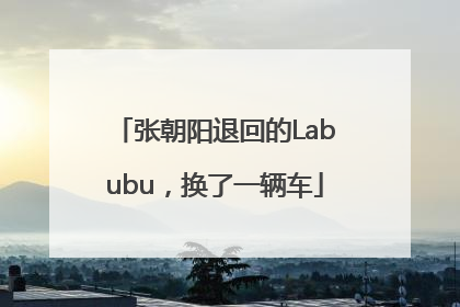 张朝阳退回的Labubu，换了一辆车