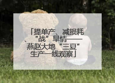 提单产、减损耗、“战”旱情——燕赵大地“三夏”生产一线观察