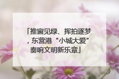 推窗见绿、挥拍逐梦，东营港“小城大爱”奏响文明新乐章