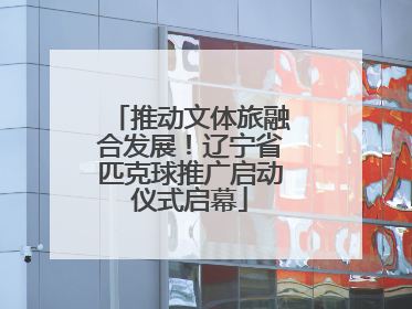 推动文体旅融合发展！辽宁省匹克球推广启动仪式启幕