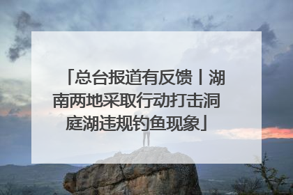 总台报道有反馈丨湖南两地采取行动打击洞庭湖违规钓鱼现象
