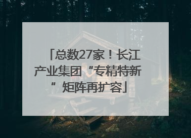 总数27家！长江产业集团“专精特新”矩阵再扩容