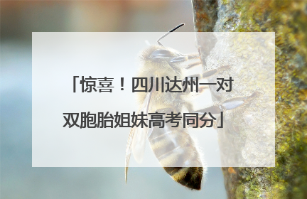 惊喜！四川达州一对双胞胎姐妹高考同分