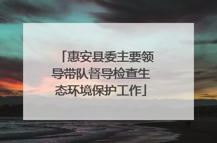 惠安县委主要领导带队督导检查生态环境保护工作