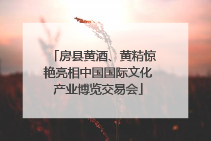 房县黄酒、黄精惊艳亮相中国国际文化产业博览交易会