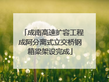 成南高速扩容工程成阿分离式立交桥钢箱梁架设完成