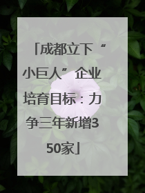 成都立下“小巨人”企业培育目标：力争三年新增350家