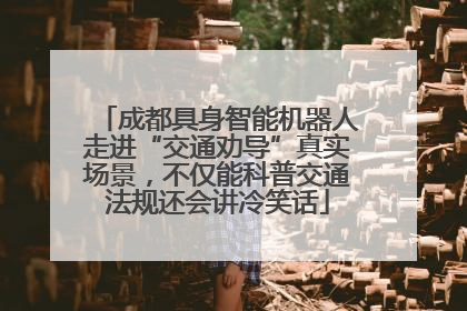 成都具身智能机器人走进“交通劝导”真实场景，不仅能科普交通法规还会讲冷笑话