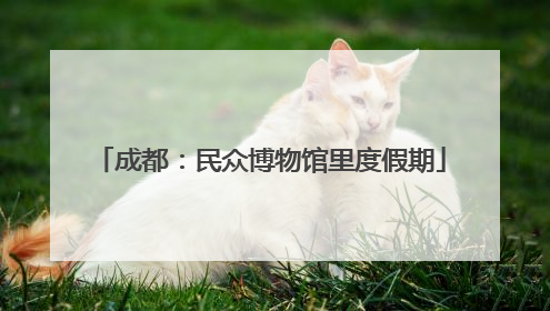 成都：民众博物馆里度假期