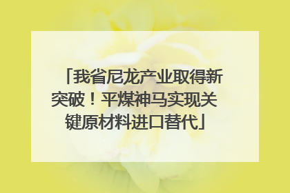 我省尼龙产业取得新突破！平煤神马实现关键原材料进口替代