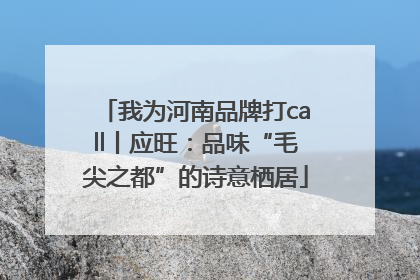 我为河南品牌打call丨应旺：品味“毛尖之都”的诗意栖居