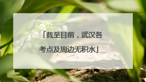 截至目前，武汉各考点及周边无积水