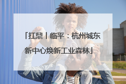 扛鼎丨临平:杭州城东新中心焕新工业森林