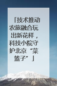 技术推动农旅融合玩出新花样，科技小院守护北京“菜篮子”