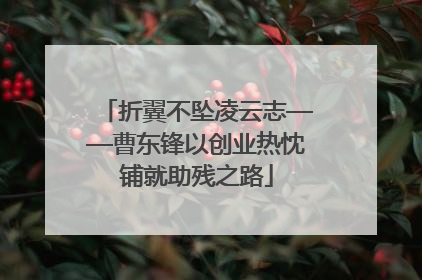 折翼不坠凌云志——曹东锋以创业热忱铺就助残之路