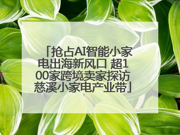抢占AI智能小家电出海新风口 超100家跨境卖家探访慈溪小家电产业带