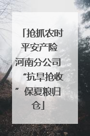抢抓农时 平安产险河南分公司“抗旱抢收”保夏粮归仓
