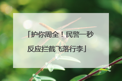 护你周全！民警一秒反应拦截飞落行李