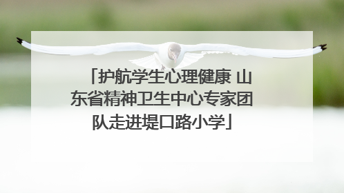 护航学生心理健康 山东省精神卫生中心专家团队走进堤口路小学