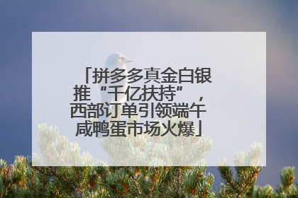 拼多多真金白银推“千亿扶持”，西部订单引领端午咸鸭蛋市场火爆