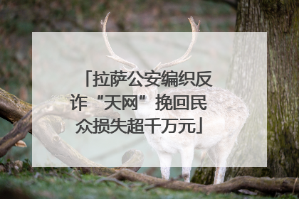 拉萨公安编织反诈“天网”挽回民众损失超千万元
