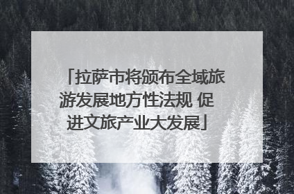 拉萨市将颁布全域旅游发展地方性法规 促进文旅产业大发展