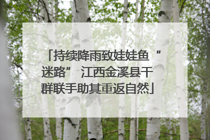 持续降雨致娃娃鱼“迷路” 江西金溪县干群联手助其重返自然