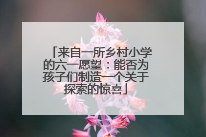 来自一所乡村小学的六一愿望：能否为孩子们制造一个关于探索的惊喜