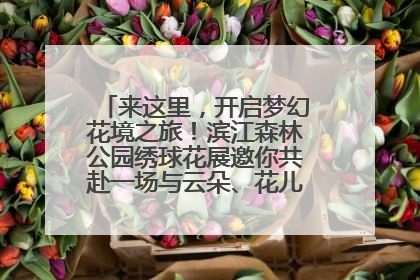 来这里，开启梦幻花境之旅！滨江森林公园绣球花展邀你共赴一场与云朵、花儿的浪漫之约