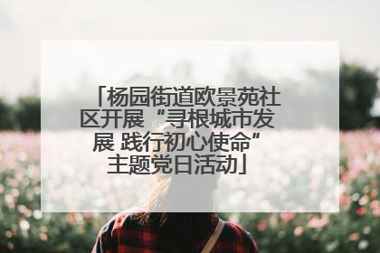 杨园街道欧景苑社区开展“寻根城市发展 践行初心使命”主题党日活动