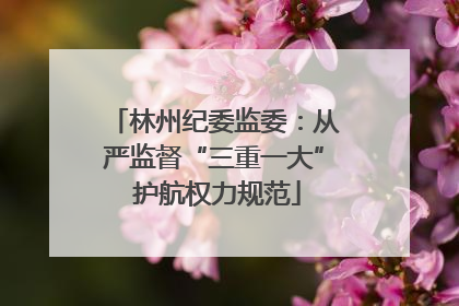 林州纪委监委：从严监督“三重一大” 护航权力规范
