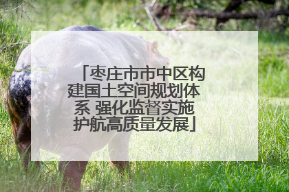 枣庄市市中区构建国土空间规划体系 强化监督实施护航高质量发展