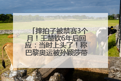 摔拍子被禁赛3个月！王楚钦6年后回应：当时上头了！称巴黎奥运被孙颖莎带着打，搭档8年“一个眼神就能懂”
