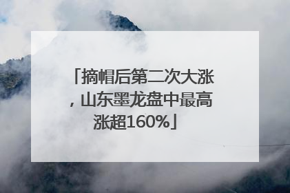 摘帽后第二次大涨，山东墨龙盘中最高涨超160%