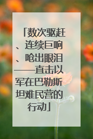 数次驱赶、连续巨响、呛出眼泪——直击以军在巴勒斯坦难民营的行动