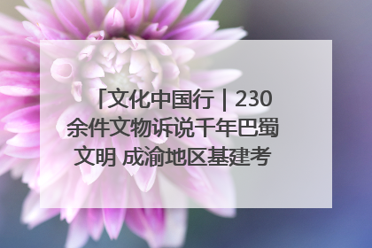 文化中国行｜230余件文物诉说千年巴蜀文明 成渝地区基建考古成果展开展