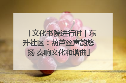 文化书院进行时｜东升社区：葫芦丝声韵悠扬 奏响文化和谐曲