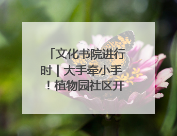 文化书院进行时｜大手牵小手！植物园社区开展第三届迷你马拉松活动