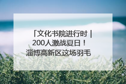 文化书院进行时｜200人激战夏日！淄博高新区这场羽毛球比赛太酷
