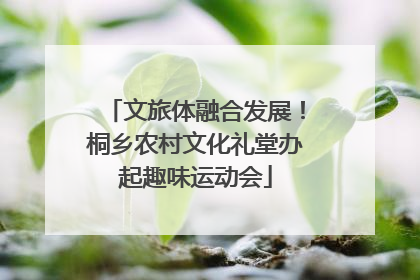 文旅体融合发展！桐乡农村文化礼堂办起趣味运动会