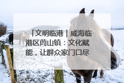 文明临港｜威海临港区蔄山镇：文化赋能，让群众家门口尽享幸福生活