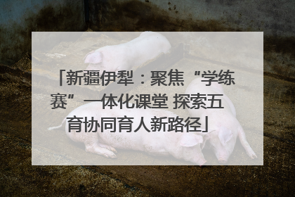 新疆伊犁：聚焦“学练赛”一体化课堂 探索五育协同育人新路径