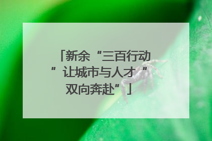 新余“三百行动”让城市与人才“双向奔赴”